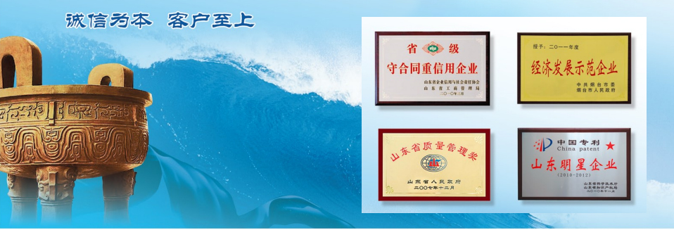 公司资质(图1)